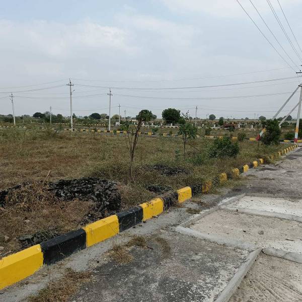  manidweepas-arka-meadows Plot