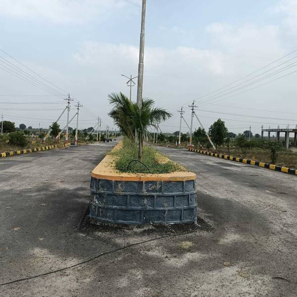  manidweepas-arka-meadows Plot