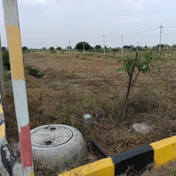  manidweepas-arka-meadows Plot