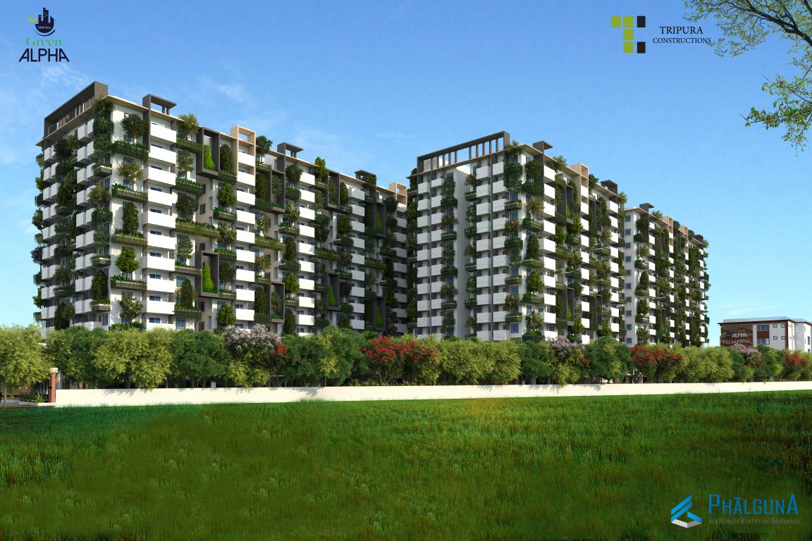  green alpha Elevation