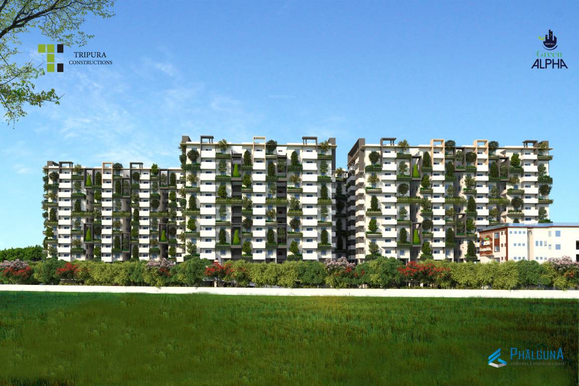  green alpha Elevation