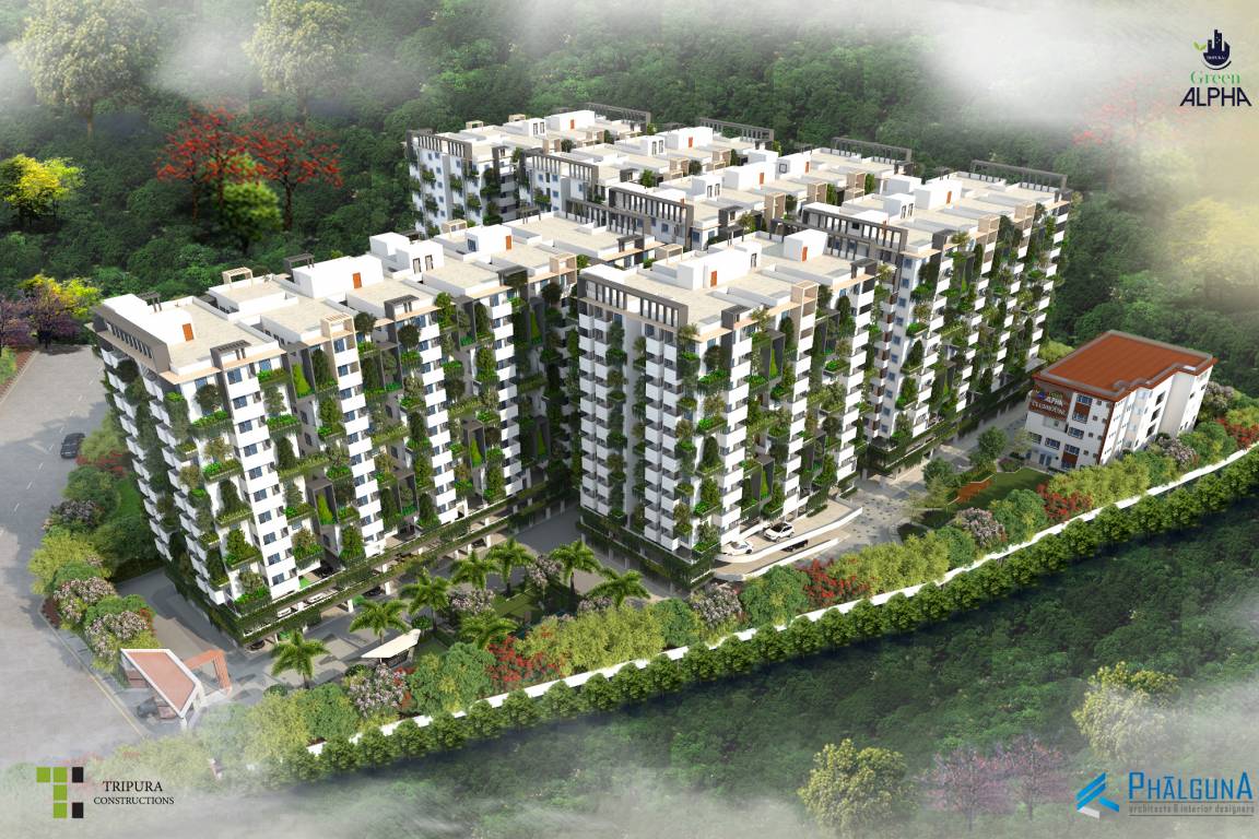  green alpha Elevation