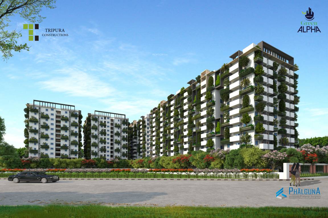  green alpha Elevation