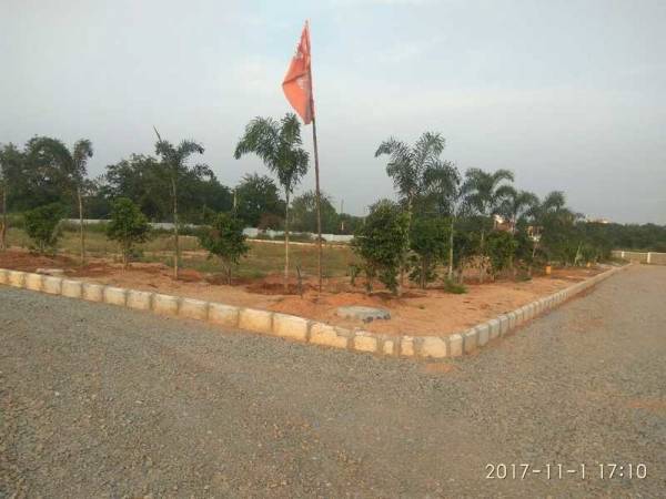  premium-county Others