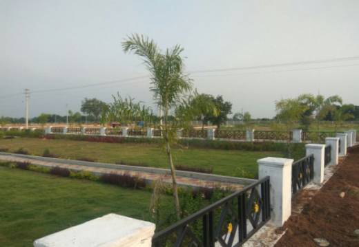 jasmine-county Elevation Elevation