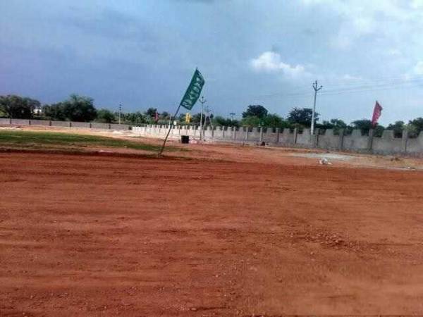  cristal-county-ii Elevation