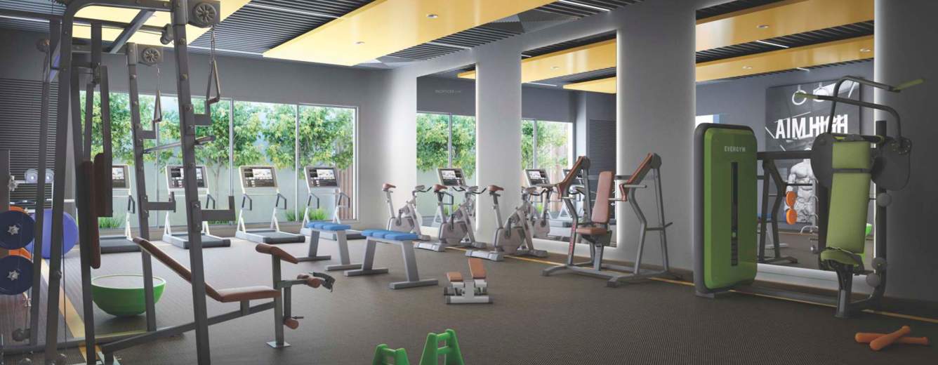  bellissimo iii Gymnasium