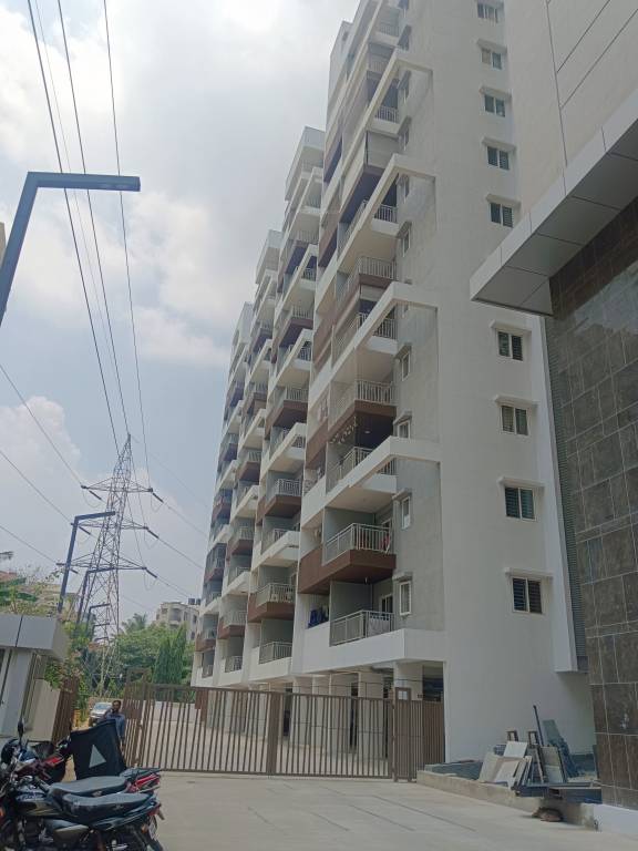 vertex and apex Elevation