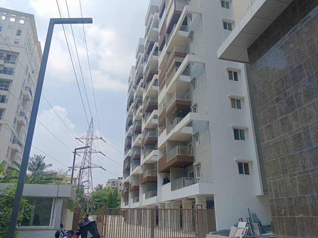 vertex and apex Elevation