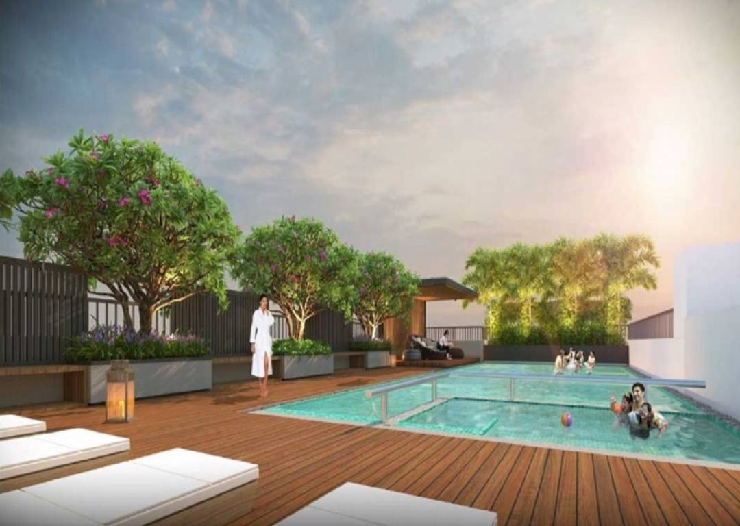 vertex and apex Swimming Pool