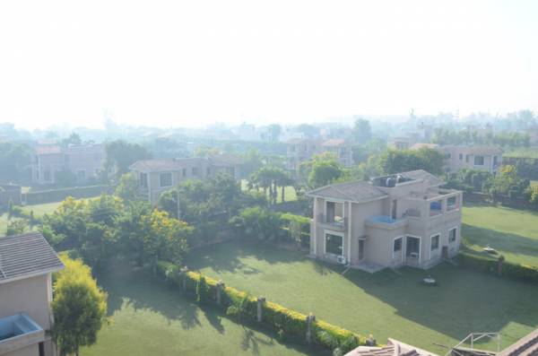 Elevation greens Elevation