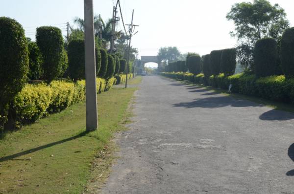 Internal Roads greens Internal Roads