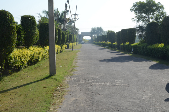 greens Internal Roads