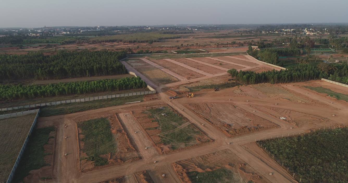 palm county Elevation