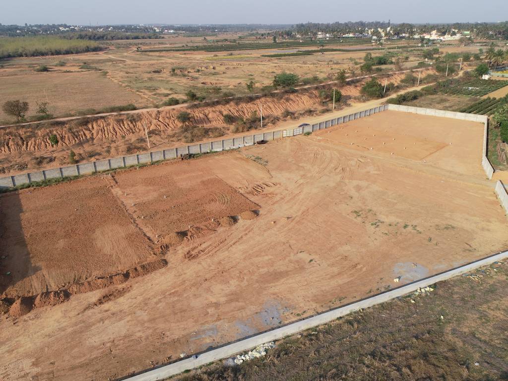 palm county Elevation