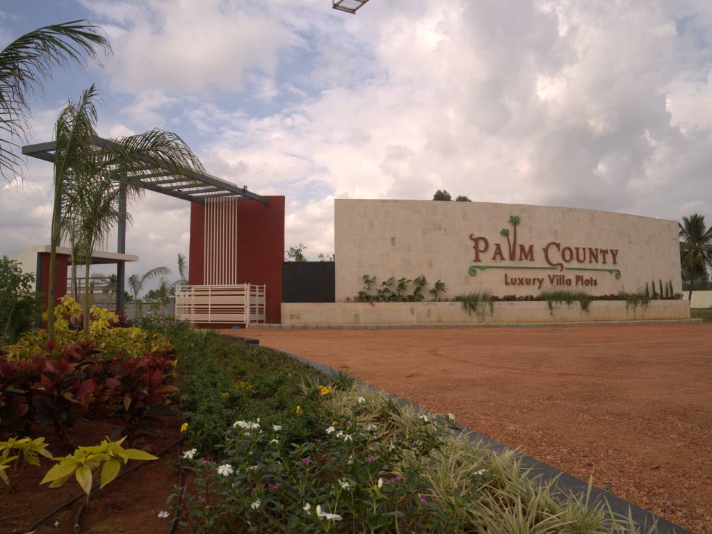 palm county Elevation