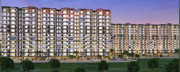  orchid-greens Elevation