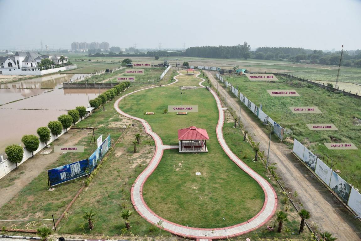  orchid greens Others