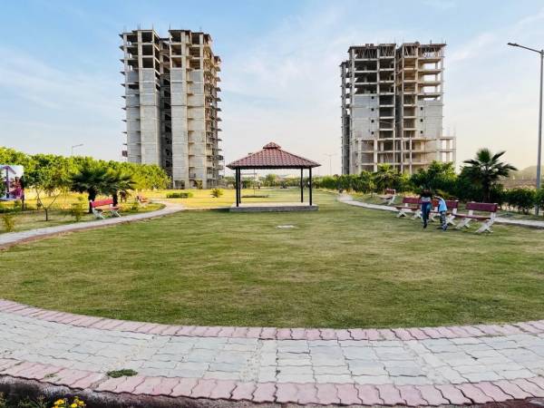  orchid-greens Others