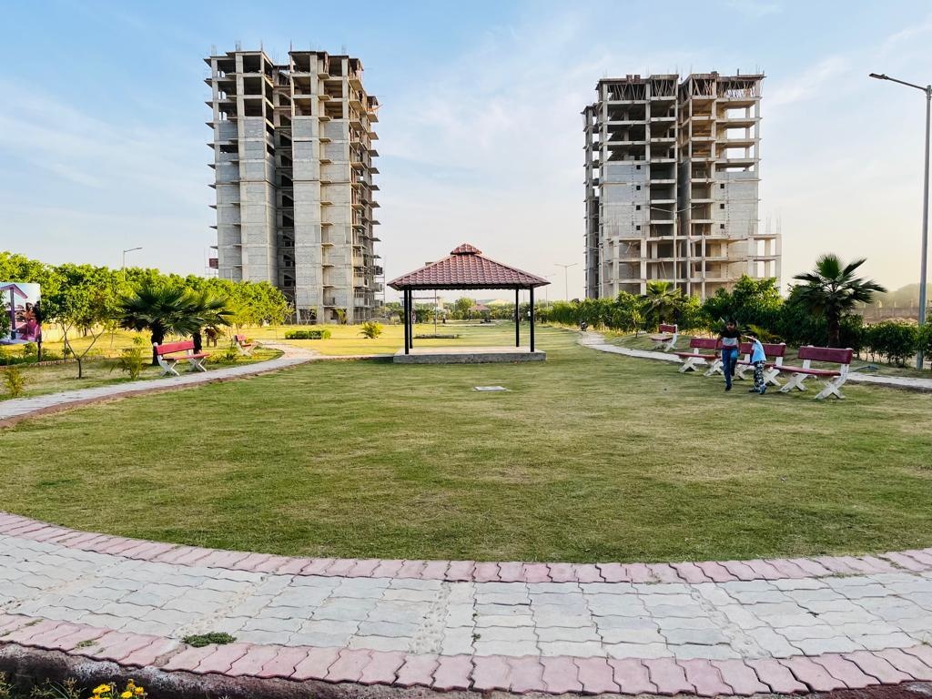  orchid greens Others