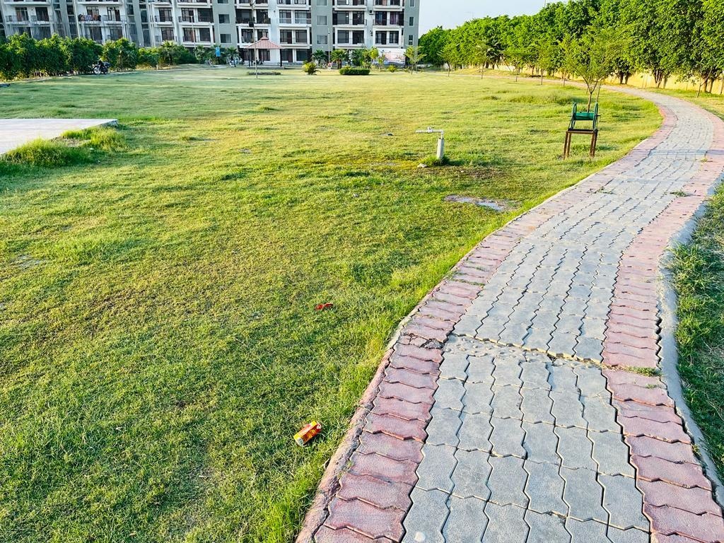  orchid greens Others