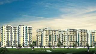 Project Image Project Image