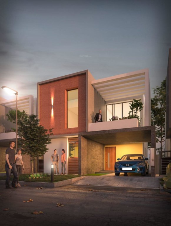  south green field Elevation