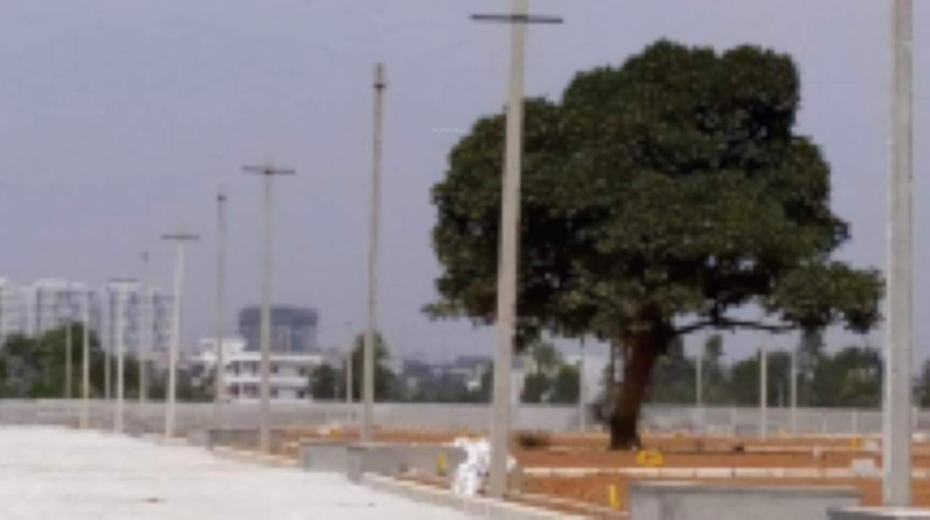  silvana meadows Elevation