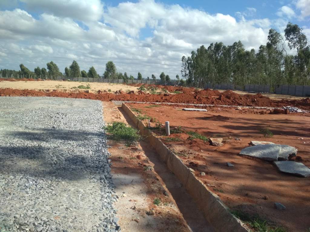  silvana meadows Elevation