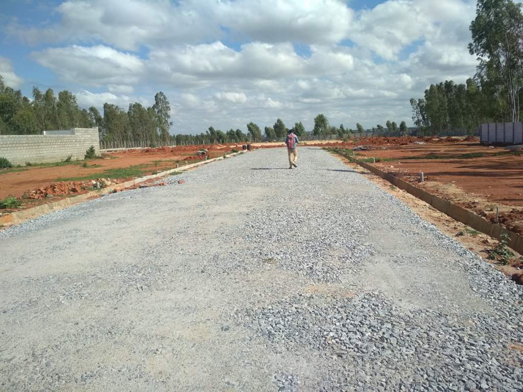  silvana meadows Elevation