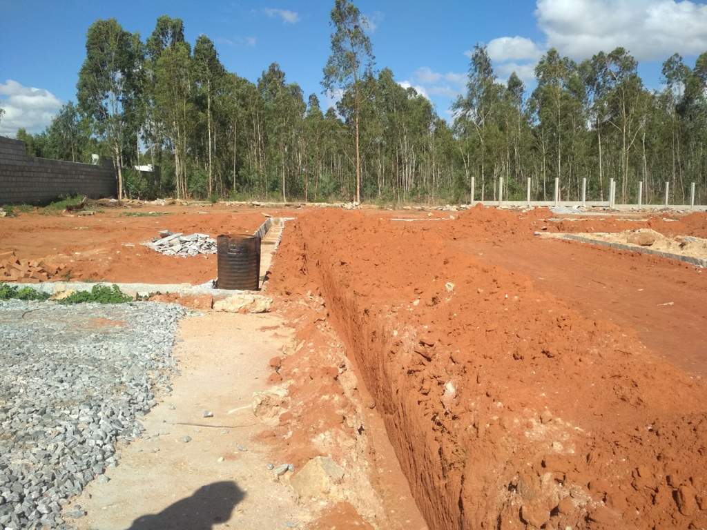  silvana meadows Elevation