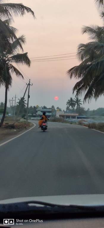  silvana meadows Plot