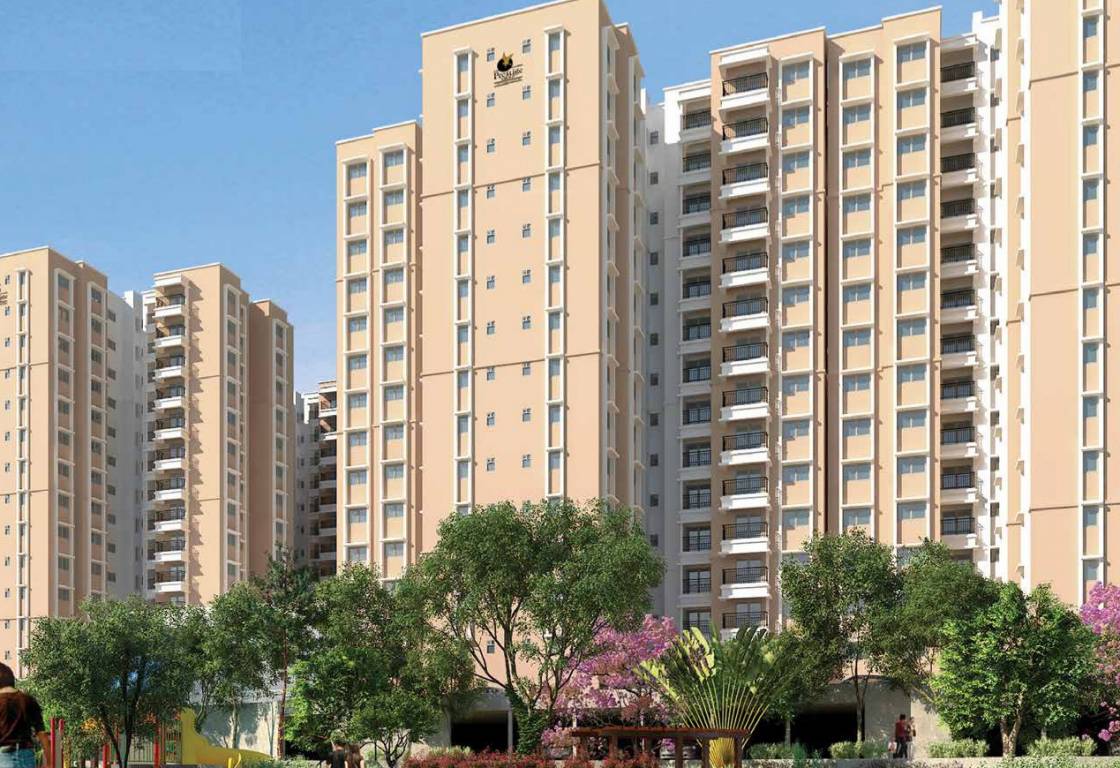  primrose hills ph i Elevation