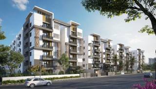 Project Image Project Image