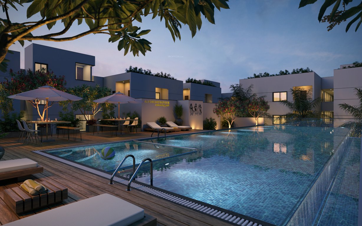  gmr springfield Others