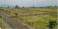 Gajanan Nagar Thorane Layout