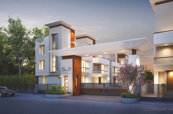  redcoral-24 Elevation