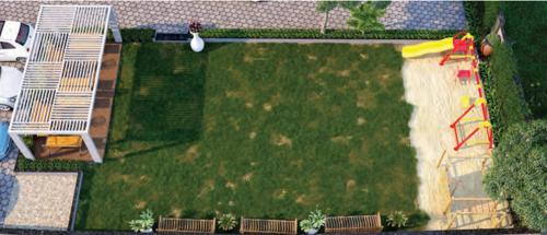  avenue Landscape Garden and Tree Planting