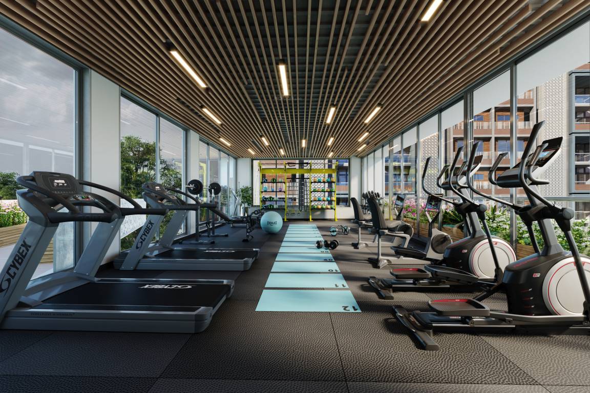  silver luxuria Gymnasium