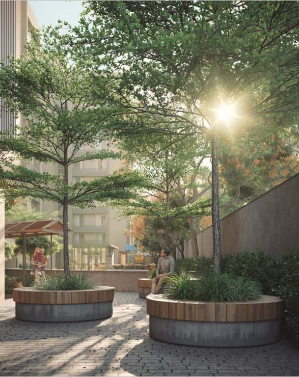  shivana aurum Others