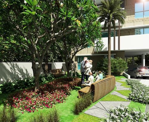  shirin Landscape Garden and Tree Planting