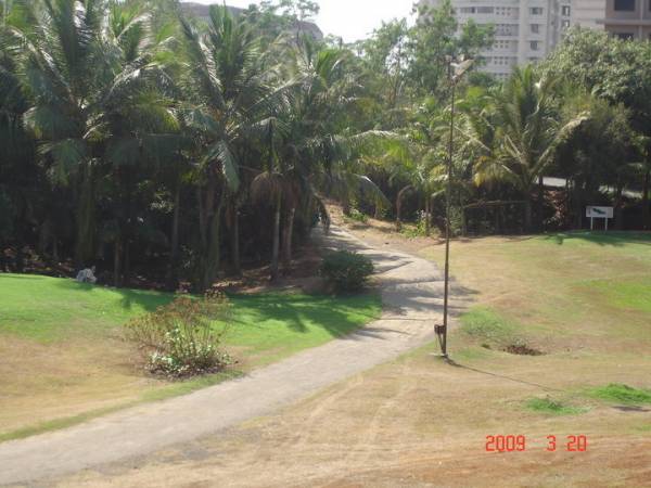  estate Jogging Track