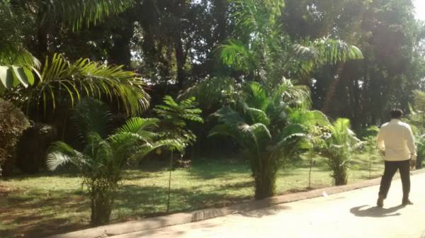  mahindra-park Others