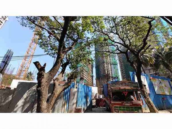 constructionStatus of S D Aubburn Wing B