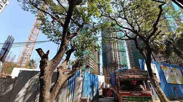  aubburn wing a Construction Status Nov 22