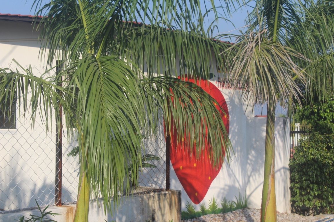  strawberry farm Plot