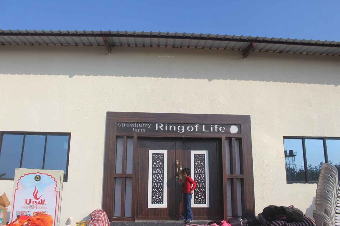  strawberry farm Plot