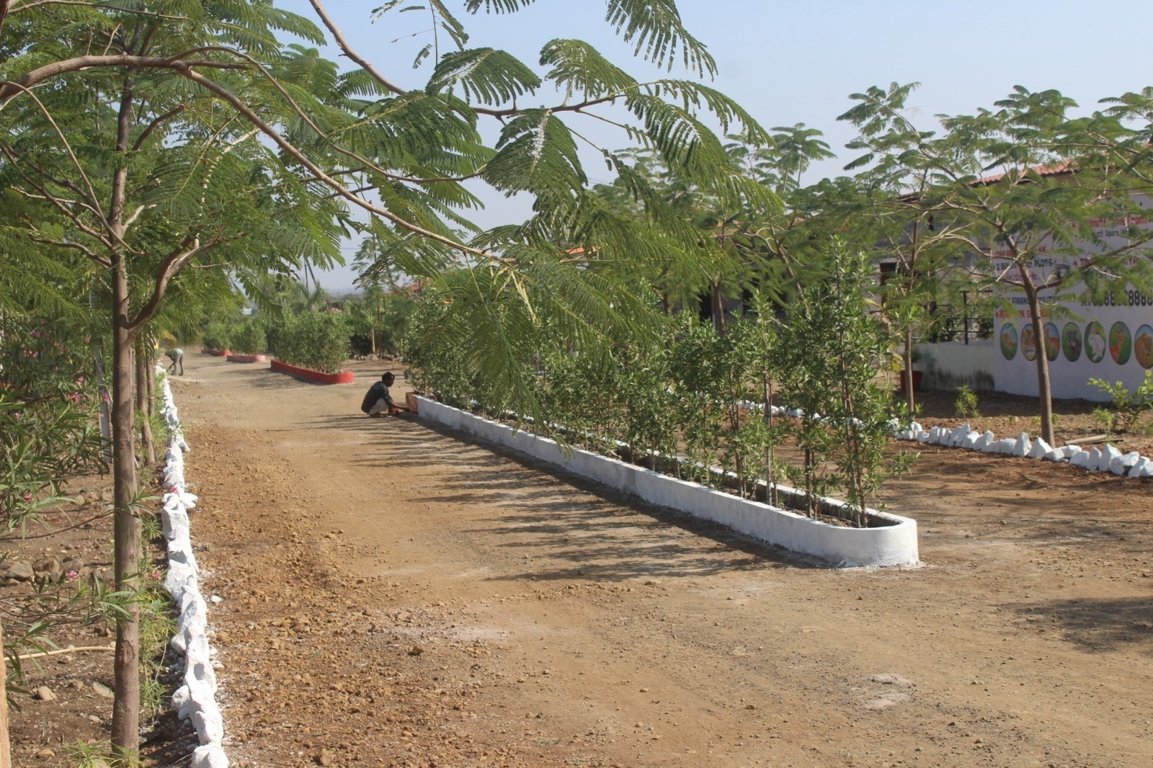  strawberry farm Plot