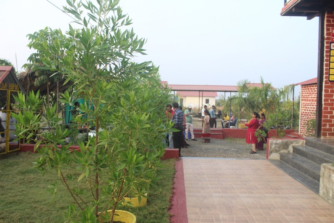  strawberry farm Plot