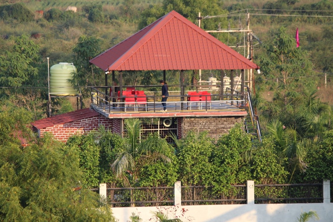  strawberry farm Plot